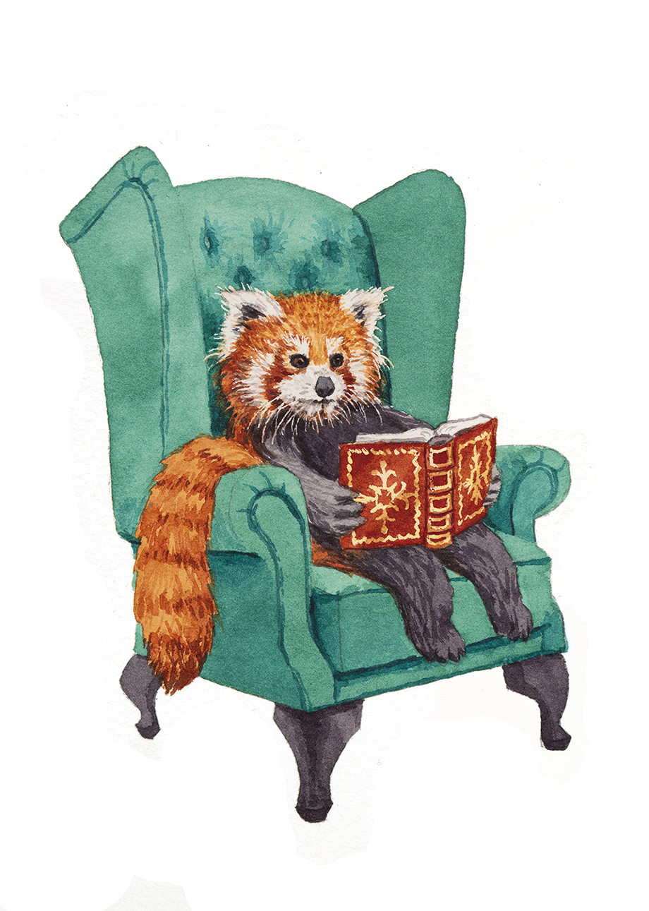 Contacta con mientras llueve