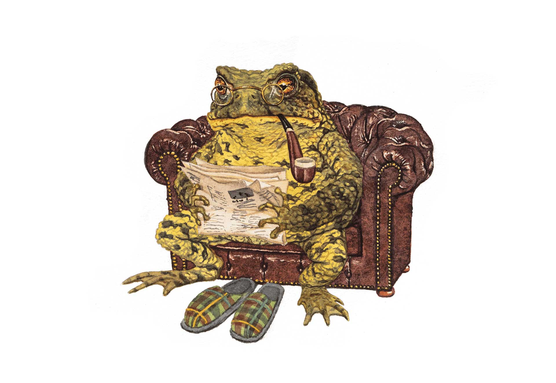 Sapo sin fondo comprimido