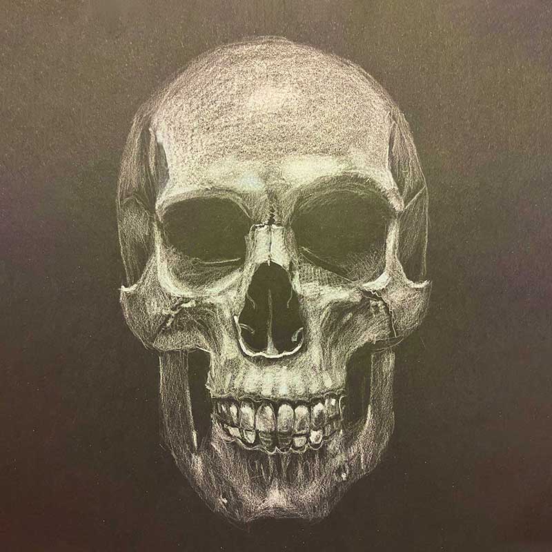 Clases de ilustracion adultos MLL 11